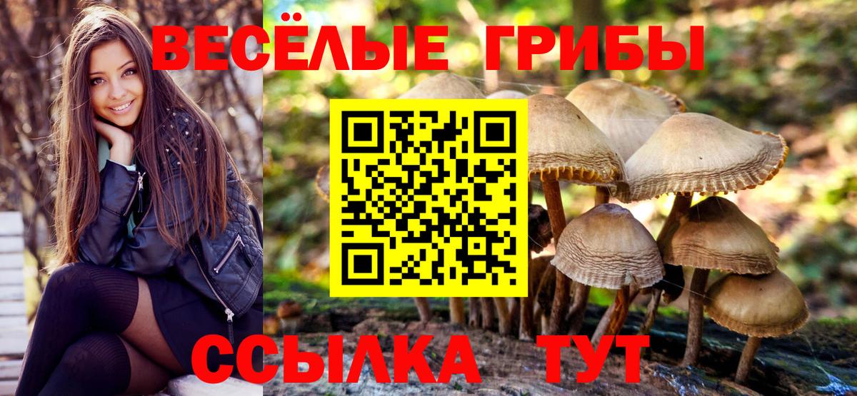 Феодосия  Галлюциногенные грибы прущие грибы  Псилоцибиновые грибы ЛСД  Вход с VPN 