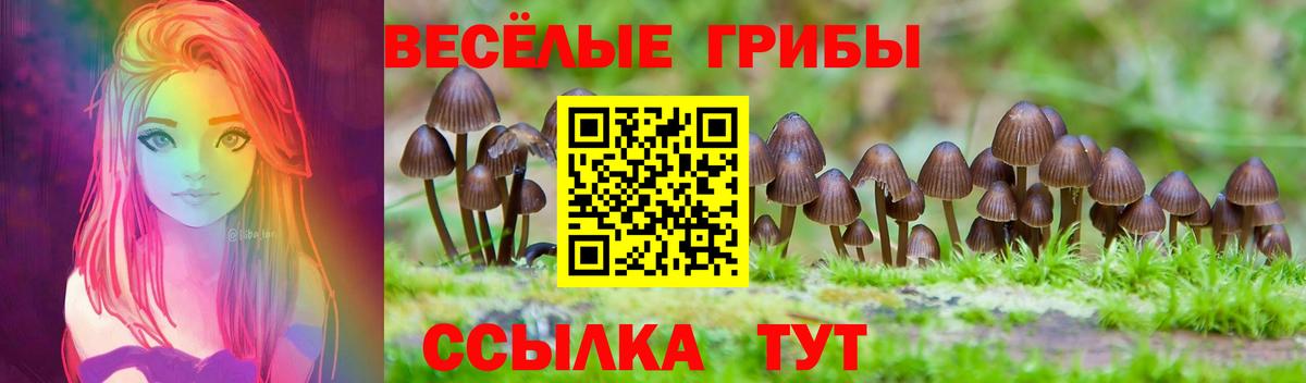Галлюциногенные грибы Magic Shrooms Феодосия